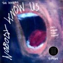 The Stolers - Nobody Knows Us