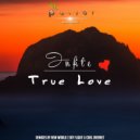 Infite - True Love (Sky Flight & Carl Overnet Remix)