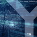 Etai Tarazi - Freedom (Andy Notalez Remix)