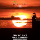 Specific Slice - One Summer
