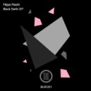 Filippo Peschi - White Cr0w (Original Mix)