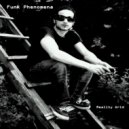 Funk Phenomena - Reality Grid (Original Mix)
