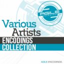 Mladen Tomic - Sushi Evolution (Original Mix)