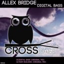 Allex Bridge - Team Building