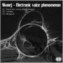 Skaarj - Electronic Voice Phenomenon