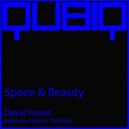 David Ferret - Space & Beauty (Fabrice Torricella Remix)