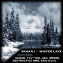 Skaarj - Winter Lake (Plu-Ton Remix)