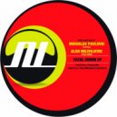 Miroslav Pavlovic - Fatal Error (Alen Milivojevic Fatal Remix)