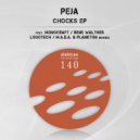 Peja - Flection (Original Mix)