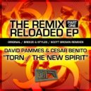 David Pammes & Cesar Benito - Torn (Original Mix)
