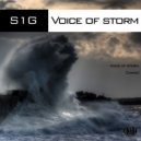 S1G - Voice of Storm (Original Mix)