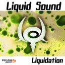 Liquid Sound - Dream Machine (Original Mix)