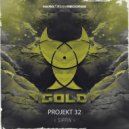 Projekt 32 - Sippin