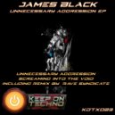 James Black Presents - Screaming Into The Void (Original Mix)