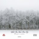 SONiC & V.I & PhilaBoi_K - What You Won't Give Up (feat. V.I & PhilaBoi_K)