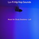 Lo-Fi Hip Hop Sounds - Ethnic Lo-fi - Bgm for Sleeping ()