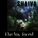 Shaiva - The Toy Forest (Original Mix)