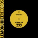 Boran Ece - Rationabile