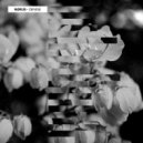 Nørus - Denise (Original Mix)
