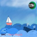 SNC - Hava Nagila