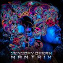 MantriX - Sensory Dream (Original Mix)