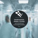 Tankhamun - Pineal Gland (Rabbit Hole Express Remix)