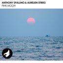 Anthony Spallino & Aurelien Stireg - Pink Moon (Original Mix)