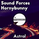 Sound Forces & Hornybunny - Astral (Original Mix)