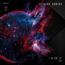 Silvina Romero - Detunator (Original Mix)