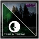 Eli & Dani - Around (Original Mix)