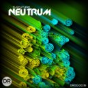 Flechtheim - Prophecy (Original Mix)