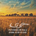 Panthera By B & J - Hard Acid Melodie (Original Mix)