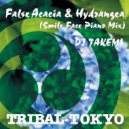 DJ Takemi - False Acacia & Hydrangea (Smile Face Piano Mix)