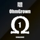 Dub Phizix - Dust (Original Mix)