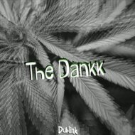 Dublink - Waving