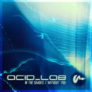 Acid_Lab - Without You (Original Mix)