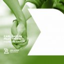 Carl Daylim feat. T'eira - Hand In Hand