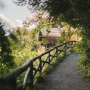 Work from Home - Memories of Stress Relief