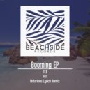 TEX - Booming (Notorious Lynch Remix)