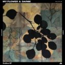 My Flower & Darse - Endless