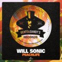 Will Sonic - Roze (Original Mix)