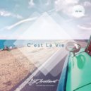 DJ Aristocrat - C\'est La Vie (Extended Mix)