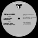 Ticco Ross - Cnoidal Wave (Original Mix)