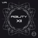 Dok & Martin - Stabilizer