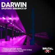 Darwin & Impulse Riders - My Everything