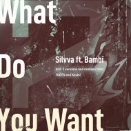 Silvva feat. Bambi - What Do You Want