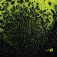 EVA808 - Snakes