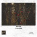 Soa Dreams - Blossom (Original Mix)