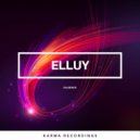 Elluy - Diligence