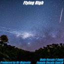 Mr Majestic - Flying High